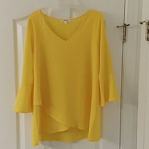 NWOT Flaunt Boutique Blouse